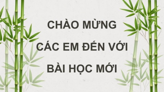 Soạn giáo án điện tử tiếng việt 4 KNTT Bài 8 Đọc: Trên khóm tre đầu ngõ