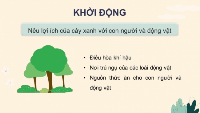 Soạn giáo án điện tử khoa học 4 cánh diều Bài 23: Vai trò của thực vật trong chuỗi thức ăn