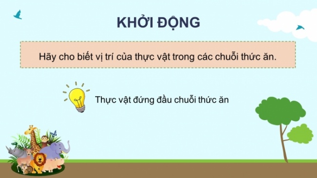 Soạn giáo án điện tử khoa học 4 cánh diều Bài: Ôn tập chủ đề sinh vật và môi trường