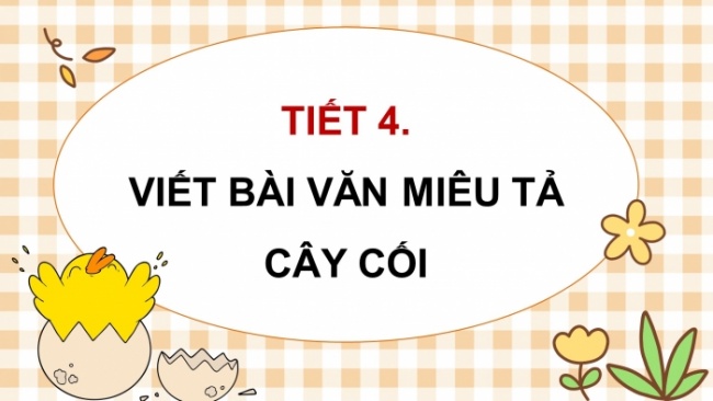 Soạn giáo án điện tử tiếng việt 4 CTST CĐ 5 Bài 7 Viết: Viết bài văn miêu tả cây cối