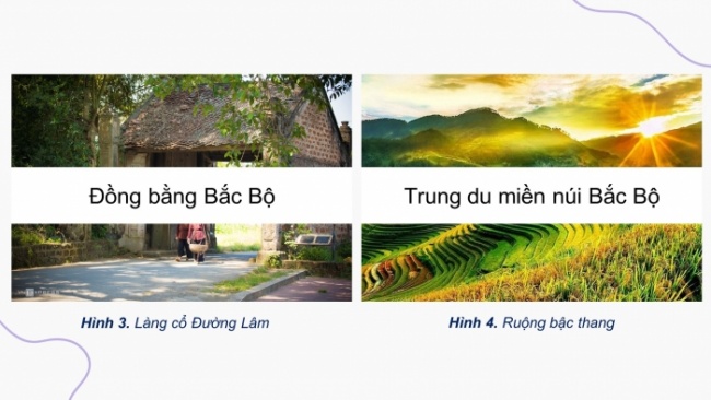 Soạn giáo án điện tử lịch sử và địa lí 4 cánh diều: Ôn tập cuối năm học