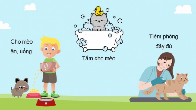 Soạn giáo án điện tử khoa học 4 cánh diều Bài: Ôn tập chủ đề Thực vật và động vật