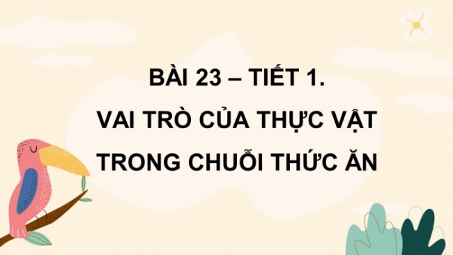 Soạn giáo án điện tử khoa học 4 cánh diều Bài 23: Vai trò của thực vật trong chuỗi thức ăn