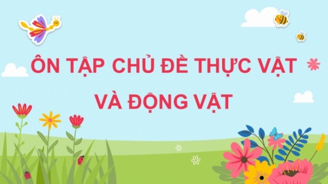 Soạn giáo án điện tử khoa học 4 cánh diều Bài: Ôn tập chủ đề Thực vật và động vật