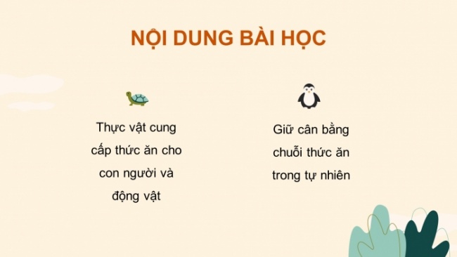 Soạn giáo án điện tử khoa học 4 cánh diều Bài 23: Vai trò của thực vật trong chuỗi thức ăn