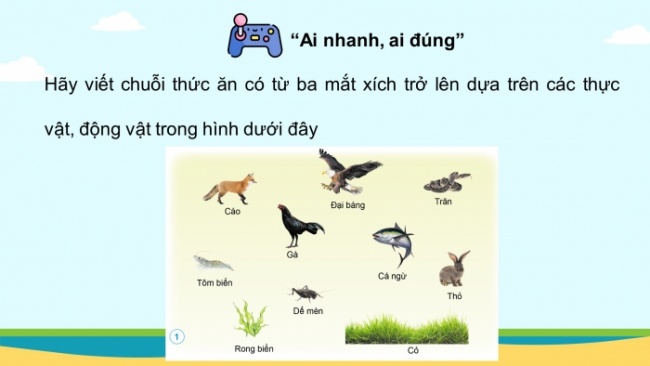 Soạn giáo án điện tử khoa học 4 cánh diều Bài: Ôn tập chủ đề sinh vật và môi trường