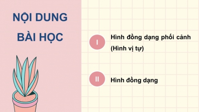 Soạn giáo án điện tử Toán 8 CD Chương 8 Bài 9: Hình đồng dạng