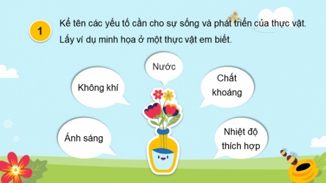 Soạn giáo án điện tử khoa học 4 cánh diều Bài: Ôn tập chủ đề Thực vật và động vật