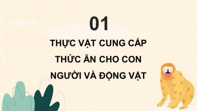 Soạn giáo án điện tử khoa học 4 cánh diều Bài 23: Vai trò của thực vật trong chuỗi thức ăn