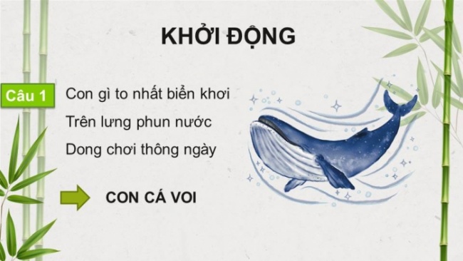 Soạn giáo án điện tử tiếng việt 4 KNTT Bài 8 Đọc: Trên khóm tre đầu ngõ