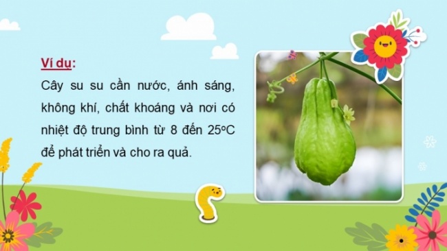 Soạn giáo án điện tử khoa học 4 cánh diều Bài: Ôn tập chủ đề Thực vật và động vật