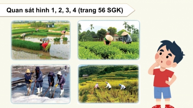 Soạn giáo án điện tử mĩ thuật 4 cánh diều Bài 12: Trên cánh đồng quê em