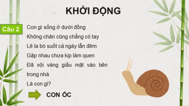 Soạn giáo án điện tử tiếng việt 4 KNTT Bài 8 Đọc: Trên khóm tre đầu ngõ