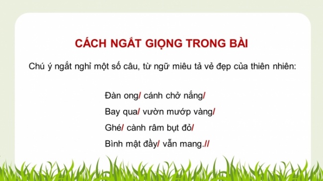 Soạn giáo án điện tử tiếng việt 4 CTST CĐ 4 Bài 3 Đọc: Thuyền trưởng và bầy ong