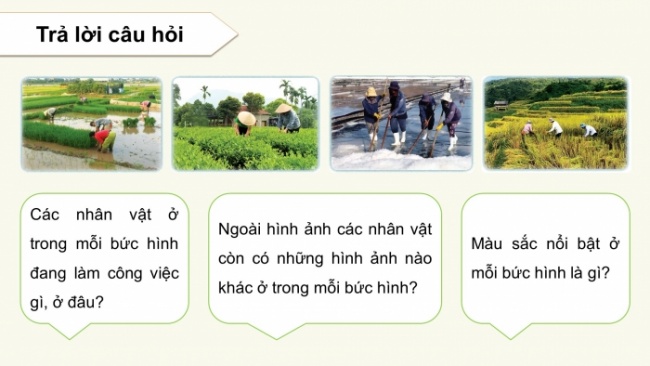 Soạn giáo án điện tử mĩ thuật 4 cánh diều Bài 12: Trên cánh đồng quê em