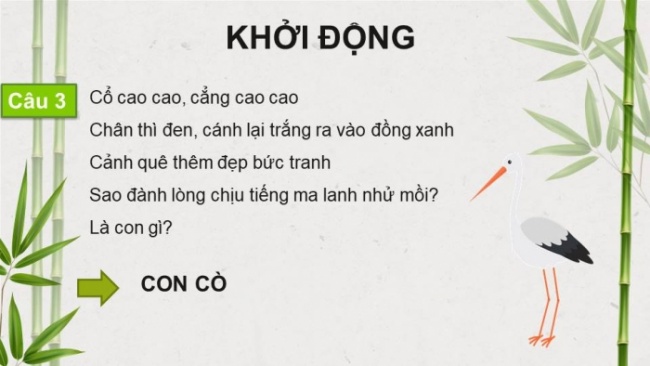 Soạn giáo án điện tử tiếng việt 4 KNTT Bài 8 Đọc: Trên khóm tre đầu ngõ