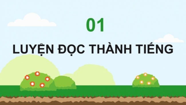 Soạn giáo án điện tử tiếng việt 4 CTST CĐ 6 Bài 5 Đọc: Hoa cúc áo