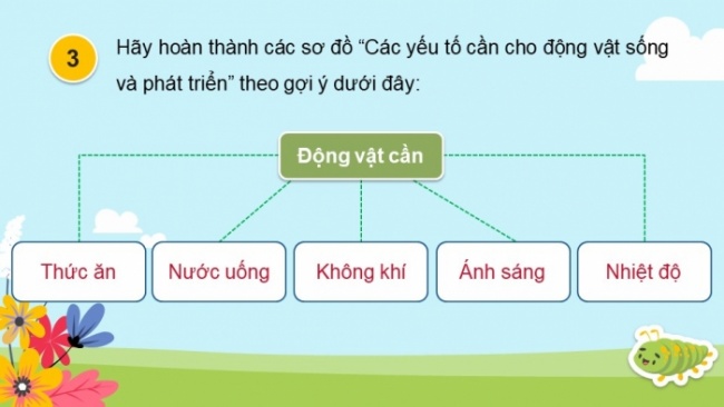 Soạn giáo án điện tử khoa học 4 cánh diều Bài: Ôn tập chủ đề Thực vật và động vật