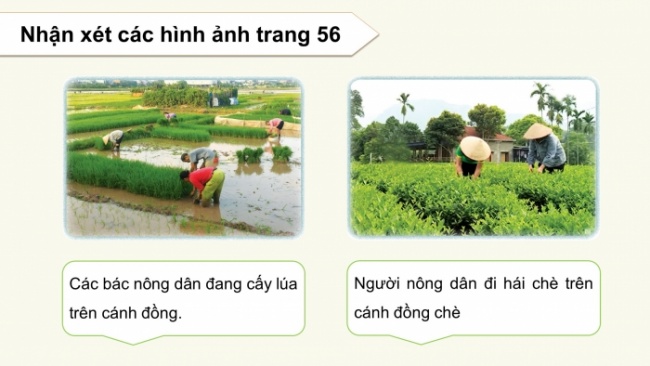 Soạn giáo án điện tử mĩ thuật 4 cánh diều Bài 12: Trên cánh đồng quê em