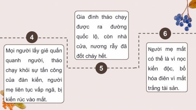 Soạn giáo án điện tử ngữ văn 11 CTST Bài 6 Đọc 4: Kiến và người