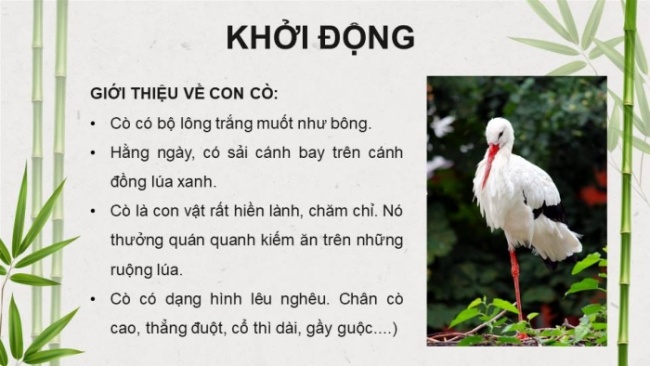 Soạn giáo án điện tử tiếng việt 4 KNTT Bài 8 Đọc: Trên khóm tre đầu ngõ