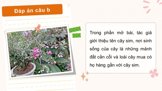 Soạn giáo án điện tử tiếng việt 4 KNTT Bài 17 Viết: Tìm hiểu cách viết bài văn miêu tả cây cối