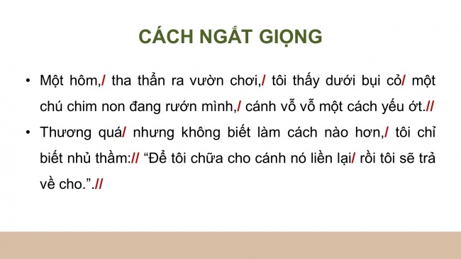 Soạn giáo án điện tử tiếng việt 4 CTST CĐ 8 Bài 5 Đọc: Quà tặng của chim non