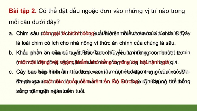 Soạn giáo án điện tử tiếng việt 4 CTST CĐ 7 Bài 3 Luyện từ và câu: Dấu ngoặc đơn