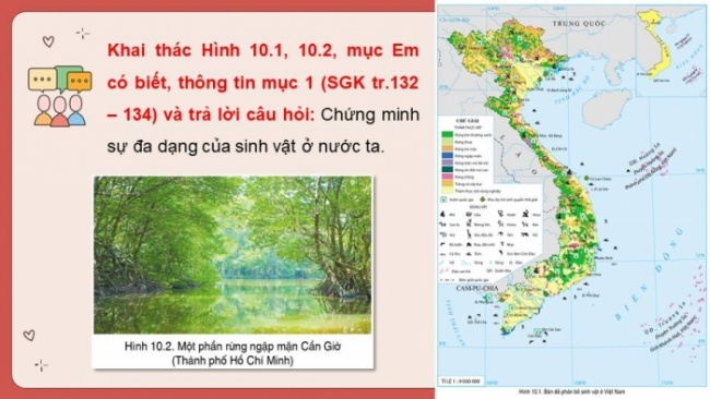 Soạn giáo án điện tử Địa lí 8 CD Bài 10: Đặc điểm chung của sinh vật và vấn đề bảo tồn đa dạng sinh học ở Việt Nam