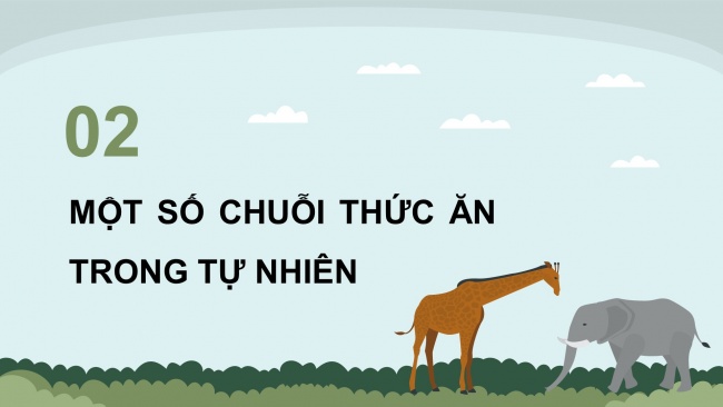 Soạn giáo án điện tử khoa học 4 KNTT Bài 29: Chuỗi thức ăn trong tự nhiên