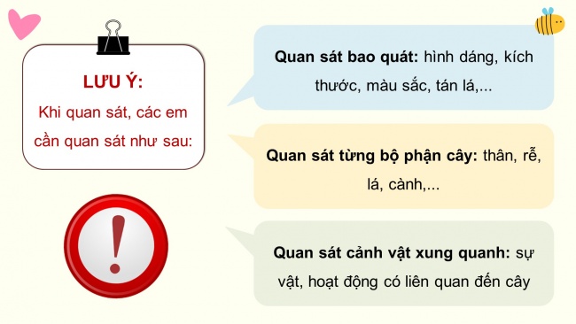 Soạn giáo án điện tử tiếng việt 4 KNTT Bài 19 Viết: Quan sát cây cối