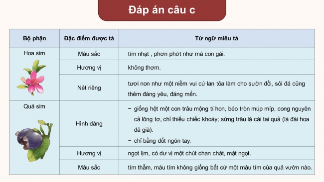 Soạn giáo án điện tử tiếng việt 4 KNTT Bài 17 Viết: Tìm hiểu cách viết bài văn miêu tả cây cối