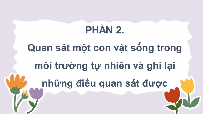 Soạn giáo án điện tử tiếng việt 4 CTST CĐ 7 Bài 8 Viết: Luyện tập quan sát, tìm ý cho bài văn miêu tả con vật