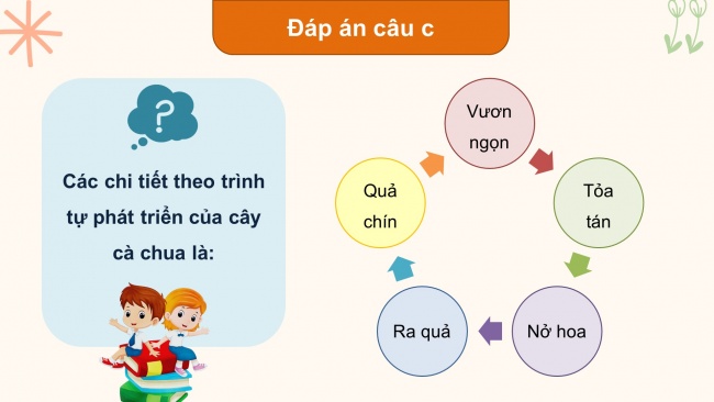 Soạn giáo án điện tử tiếng việt 4 KNTT Bài 18 Viết: Tìm hiểu cách viết bài văn miêu tả cây cối (tiếp theo)