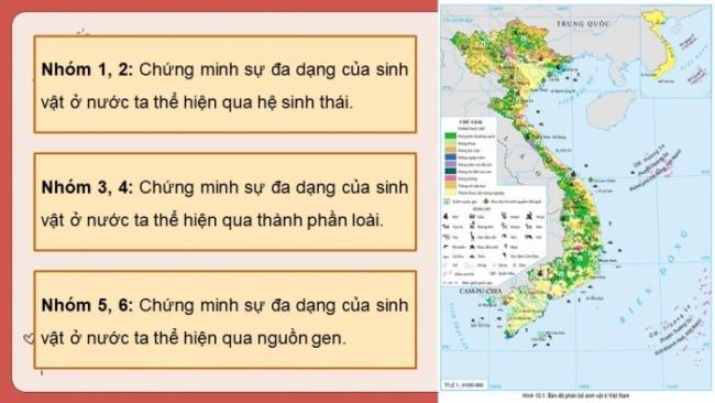 Soạn giáo án điện tử Địa lí 8 CD Bài 10: Đặc điểm chung của sinh vật và vấn đề bảo tồn đa dạng sinh học ở Việt Nam
