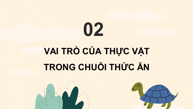 Soạn giáo án điện tử khoa học 4 KNTT Bài 30: Vai trò của thực vật trong chuỗi thức ăn