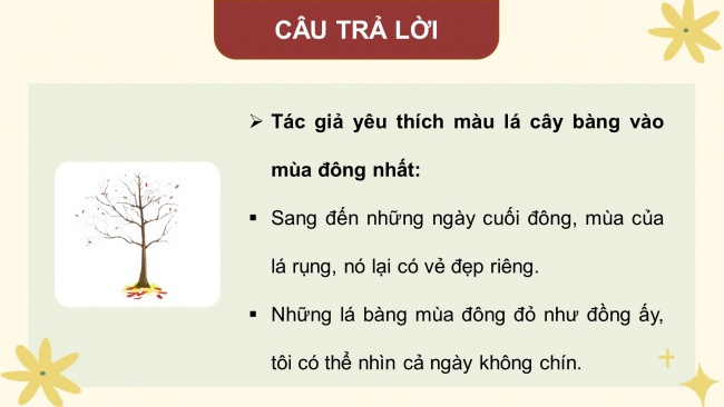 Soạn giáo án điện tử tiếng việt 4 KNTT Bài 20 Viết: Luyện viết đoạn văn miêu tả cây cối