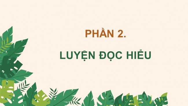 Soạn giáo án điện tử tiếng việt 4 CTST CĐ 7 Bài 7 Đọc: Rừng mơ