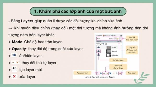 Soạn giáo án điện tử Tin học 8 CD Chủ đề E3 Bài 4: Lớp ảnh