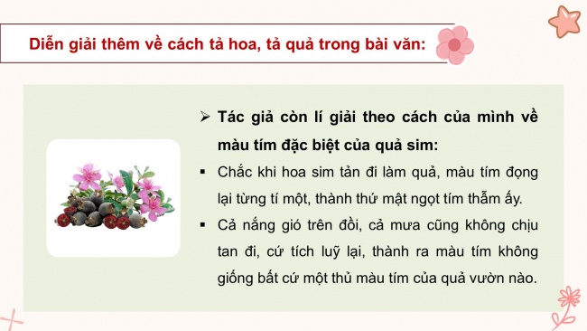 Soạn giáo án điện tử tiếng việt 4 KNTT Bài 17 Viết: Tìm hiểu cách viết bài văn miêu tả cây cối