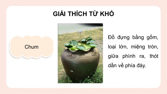 Soạn giáo án điện tử tiếng việt 4 CTST CĐ 8 Bài 3 Đọc: Nàng tiên Ốc