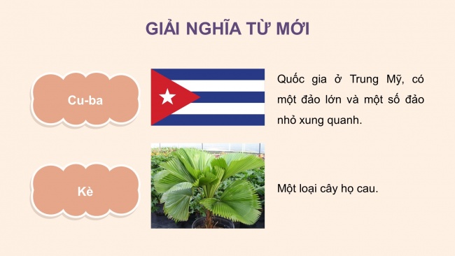 Soạn giáo án điện tử tiếng việt 4 CTST CĐ 7 Bài 3 Đọc: Từ Cu-ba