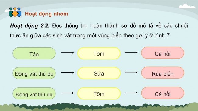 Soạn giáo án điện tử khoa học 4 KNTT Bài 29: Chuỗi thức ăn trong tự nhiên