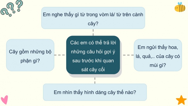 Soạn giáo án điện tử tiếng việt 4 KNTT Bài 19 Viết: Quan sát cây cối