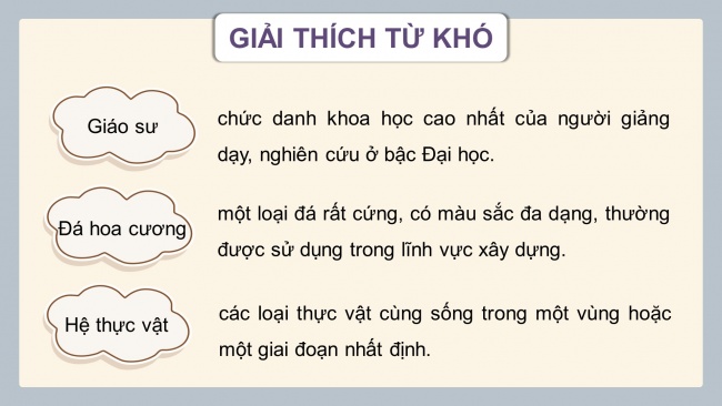 Soạn giáo án điện tử tiếng việt 4 CTST CĐ 7 Bài 5 Đọc: Biển và rừng cây dưới lòng đất