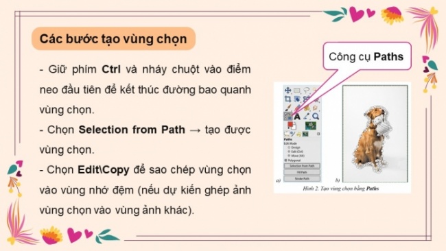 Soạn giáo án điện tử Tin học 8 CD Chủ đề E3 Bài 2: Vùng chọn và ứng dụng