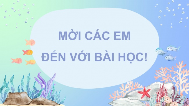 Soạn giáo án điện tử tiếng việt 4 CTST CĐ 8 Bài 1 Đọc: Cá heo ở biển Trường Sa