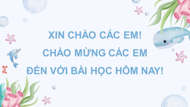 Soạn giáo án điện tử tiếng việt 4 CTST CĐ 7 Bài 3 Luyện từ và câu: Dấu ngoặc đơn