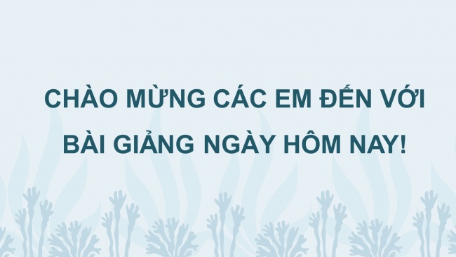 Soạn giáo án điện tử tiếng việt 4 KNTT Bài 27 Đọc: Băng tan