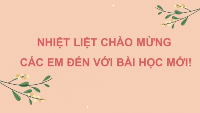 Soạn giáo án điện tử Ngữ văn 8 KNTT Bài 9 TH tiếng Việt: Câu phủ định và câu khẳng định